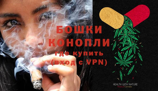 прущая мука Инсар