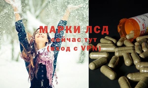 спайс Инта