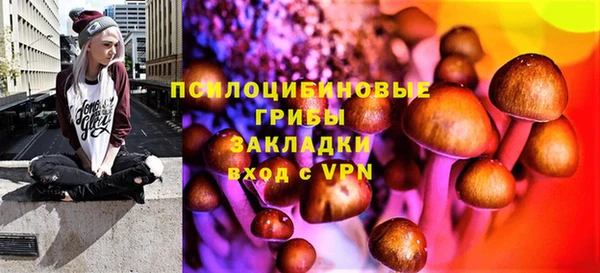 спайс Инта