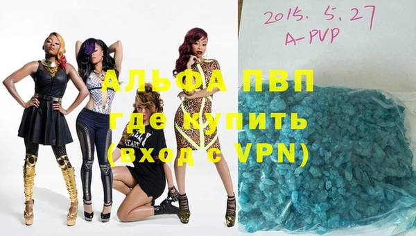 спайс Инта