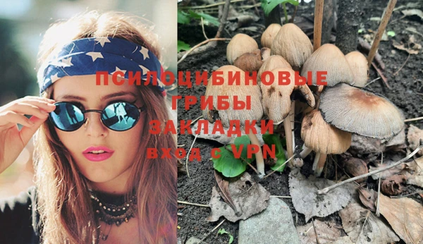спайс Инта