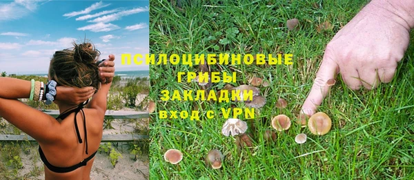 прущая мука Инсар