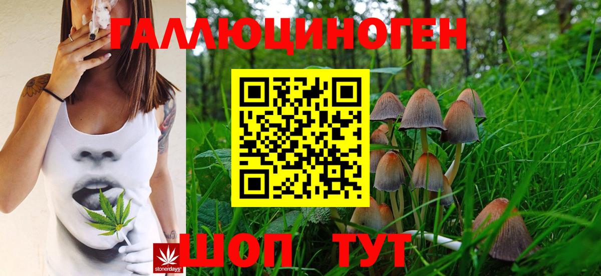 Псилоцибиновые грибы Magic Shrooms  купить закладку  Дзержинск  Вход с VPN  Псилоцибиновые грибы Cubensis 