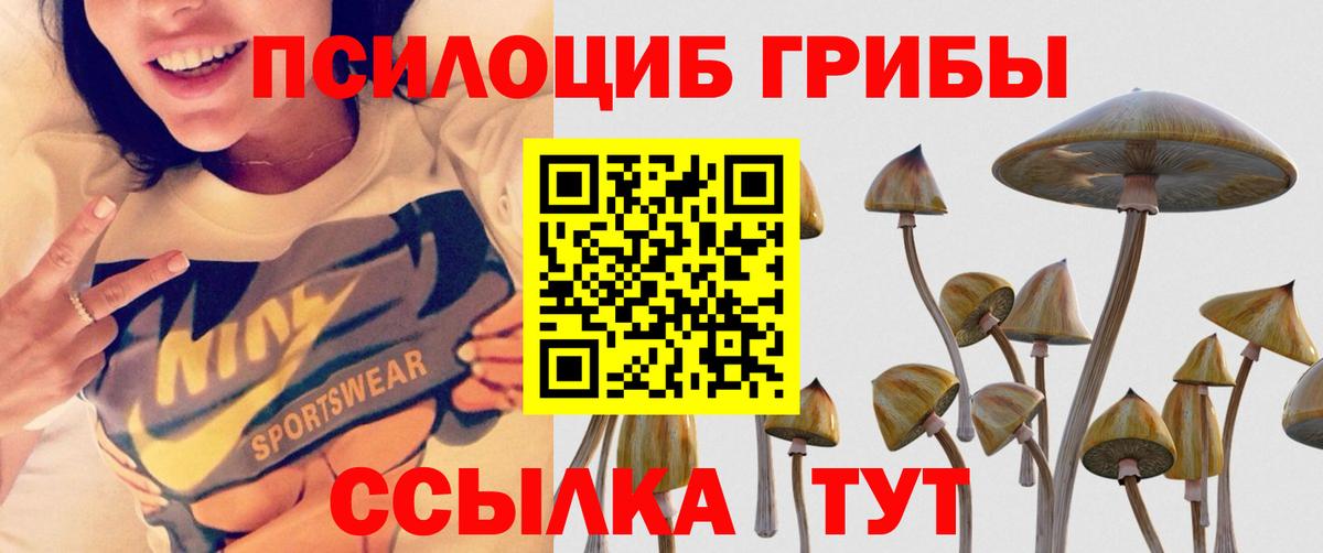 Псилоцибиновые грибы Magic Shrooms  Дзержинск 